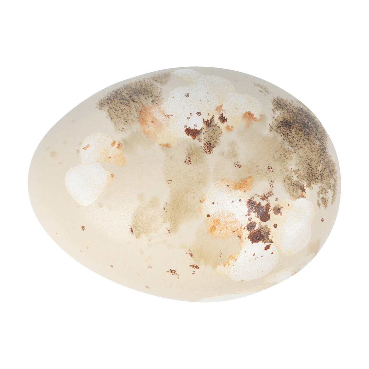 Paradisverkstaden Ägg Litet - Spräcklig fågel, Havre/Bränd Umbra